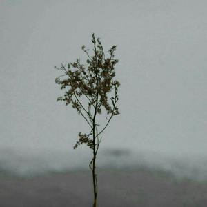 老挝少妇白嫩BBBBBBBBB
